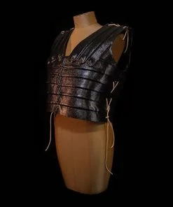 Paradise Costumes Helmets & Armor Roman Armor Front And Back