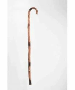 Eddies Trick Shop Cane Bamboo 1920s Canes & Staffs