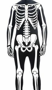 Forum Novelty Halloween & Horror Skeleton Standard