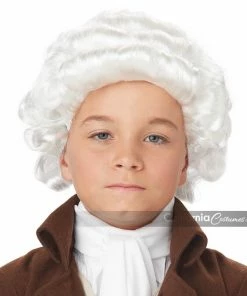 California Costumes Colonial Man White Wig Grey & White