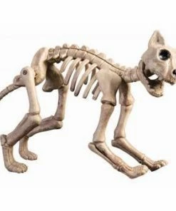 Forum Novelty Skeleton Cat Halloween & Horror