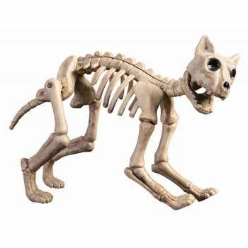 Forum Novelty Skeleton Cat Halloween & Horror 3 Forum Novelty Skeleton Cat Halloween & Horror
