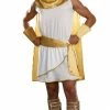 Dreamgirl Greek Toga