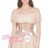 The Corset Company Champagne Mesh Underbust Corset With Lace Overlay 2 The Corset Company Champagne Mesh Underbust Corset With Lace Overlay