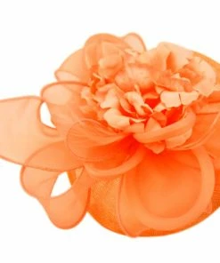 Epoch Fashion Accessory Fascinator Floral Feather Mesh Fascinators & Cloche Hats