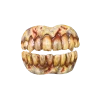 Trick Or Treat Studios Fake Teeth And Mouth Effects Bitemares Undead Teeth