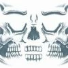 Tinsley Transfers Tattoos & Tattoo Effects Skull Face 1 Tinsley Transfers Tattoos & Tattoo Effects Skull Face