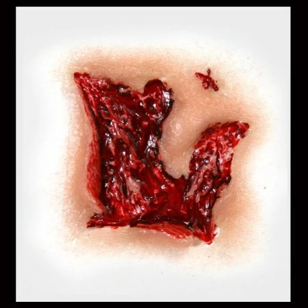 Tinsley Transfers Prosthetics Small Gouge 4 Tinsley Transfers Prosthetics Small Gouge