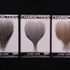 West Bay Facial Hair Hair Chest Patch Style #947