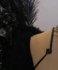 Boa Novelty Feather Angel Wings In Black, White, Or Red