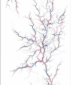 Tinsley Transfers Tattoos & Tattoo Effects Possessed Veins