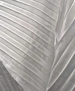 Aliexpress Isis Wings In 10 Colors