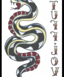 Tinsley Transfers Vintage 1940 Snake