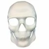 KBW Global Corp Masquerade Masks Mask Skull Face White 1 KBW Global Corp Masquerade Masks Mask Skull Face White