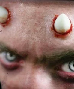 Tinsley Transfers Lil' Horns 7 Tinsley Transfers Lil' Horns