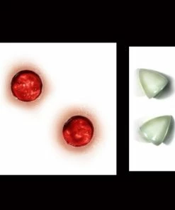 Tinsley Transfers Lil' Horns