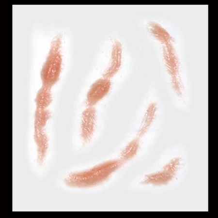 Tinsley Transfers Scarred 4 Tinsley Transfers Scarred