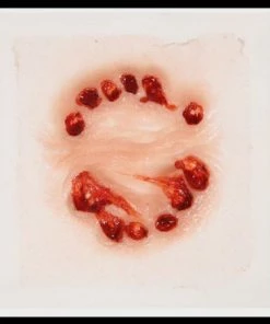 Tinsley Transfers Prosthetics Big Bite