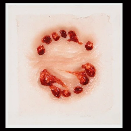 Tinsley Transfers Prosthetics Big Bite 4 Tinsley Transfers Prosthetics Big Bite