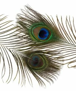 Zucker Peacock Feathers 8"-15" Boas & Feathers