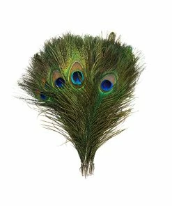 Zucker Peacock Feathers 8"-15" Boas & Feathers 7 Zucker Peacock Feathers 8