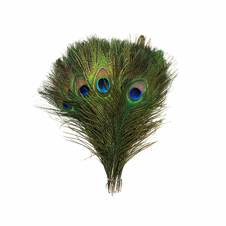 Zucker Peacock Feathers 8"-15" Boas & Feathers 5 Zucker Peacock Feathers 8"-15" Boas & Feathers