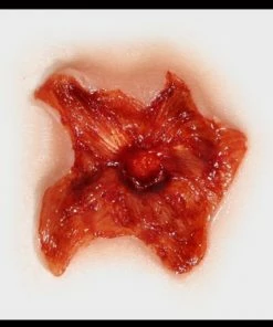 Tinsley Transfers Exit Wound